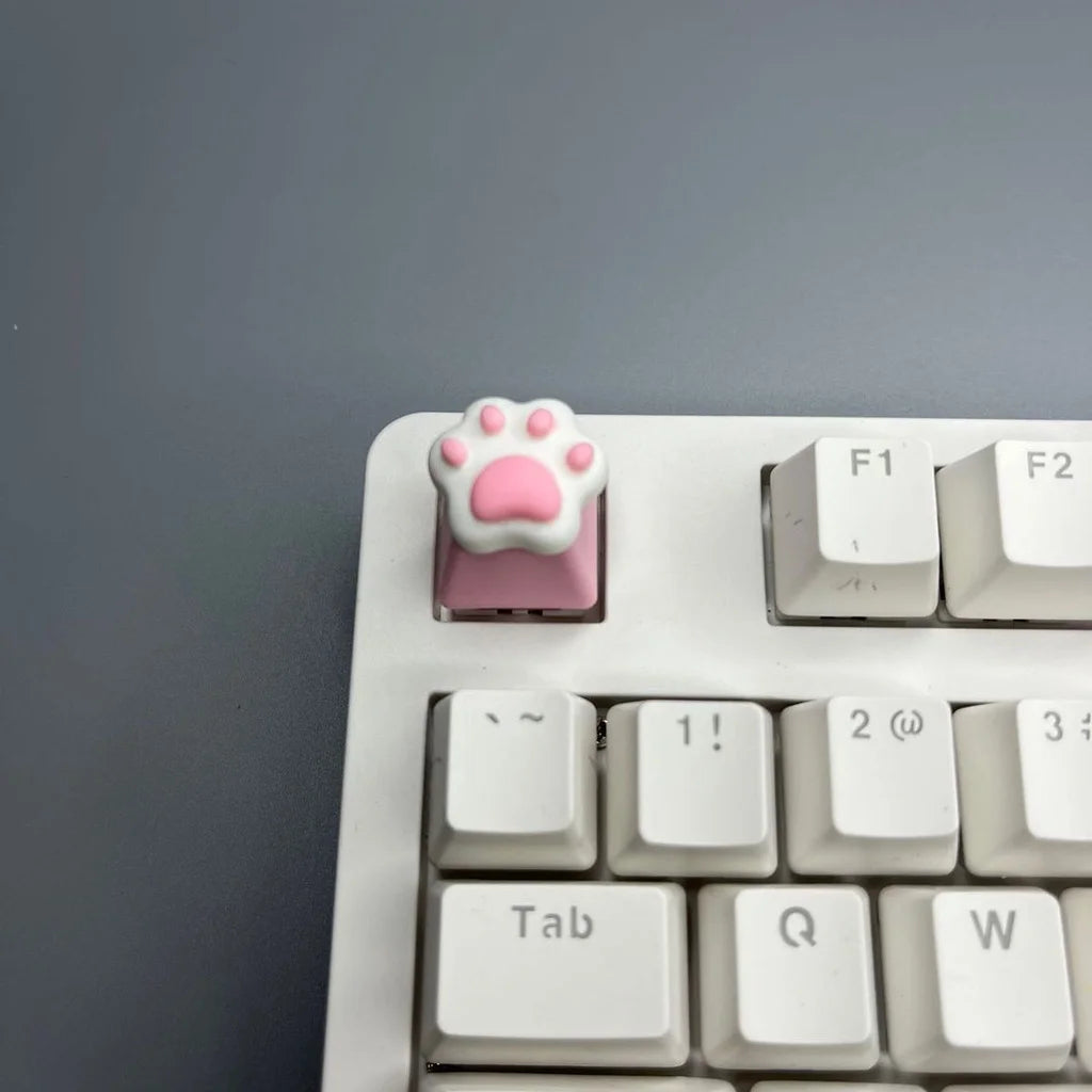 S042f4c8cd626497c9da21e674521e582g